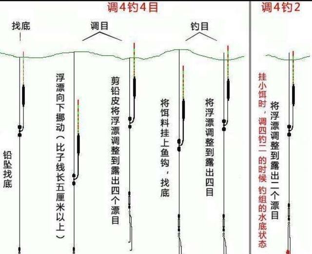 野钓知识大全，新手福音，初钓者必须了解的一些知识