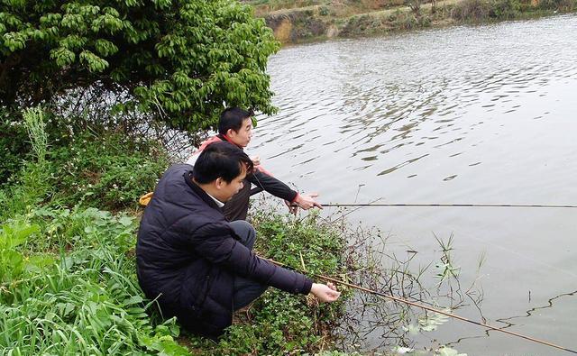 不想白花冤枉钱，新手钓友请看完这些选钓具心得