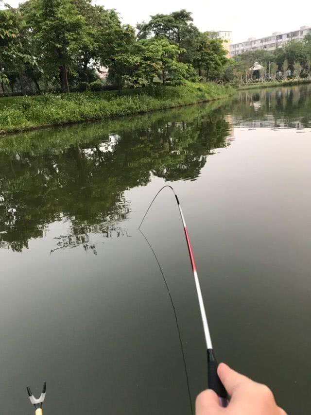 话说钓竿乱象，钓友们：你们是否这样认为