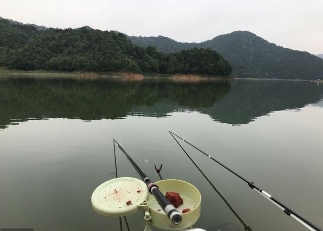 初级钓鱼选手要怎么去选择装备和学习