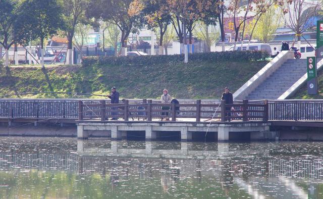 扎堆钓鱼会有这些隐患，想改善，建议吃独食