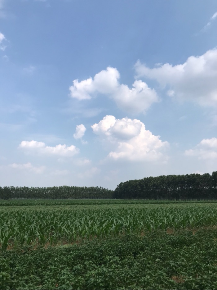 刚开始学钓鱼的时候要掌握的知识