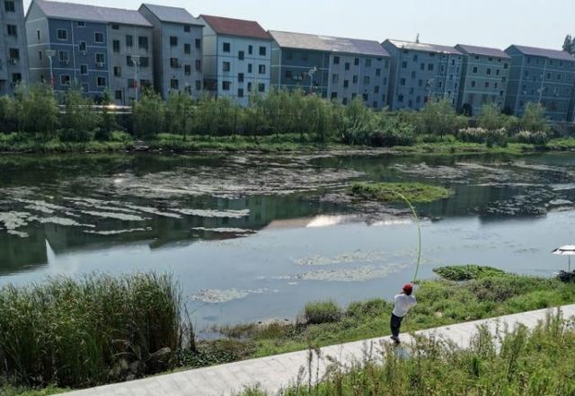 想摸清鱼道先了解水底地形，这几个方法一用，鱼道清晰可见