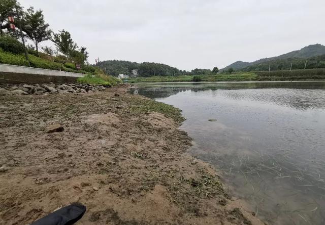 想摸清鱼道先了解水底地形，这几个方法一用，鱼道清晰可见