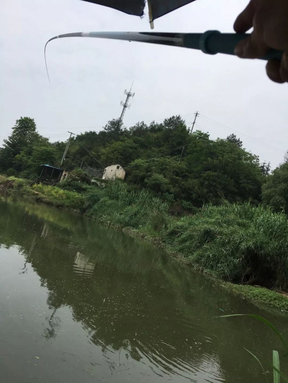 台钓不是万能钓法，认清它的利与弊