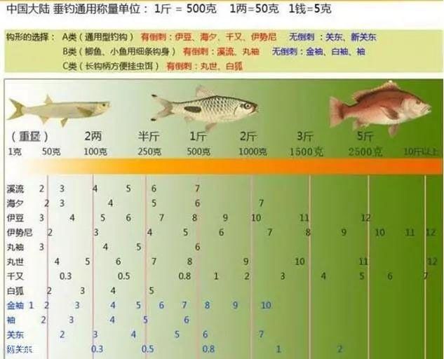 野钓选钩，5种热门鱼钩的利与弊分析