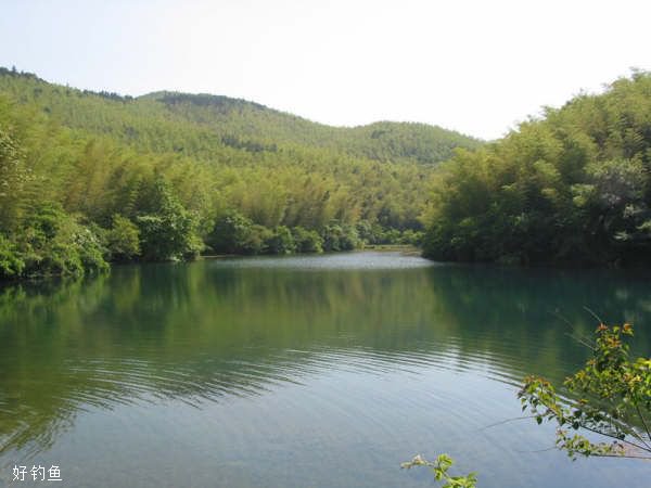 台钓入门，在自然水域进行野钓需要注意哪些事项