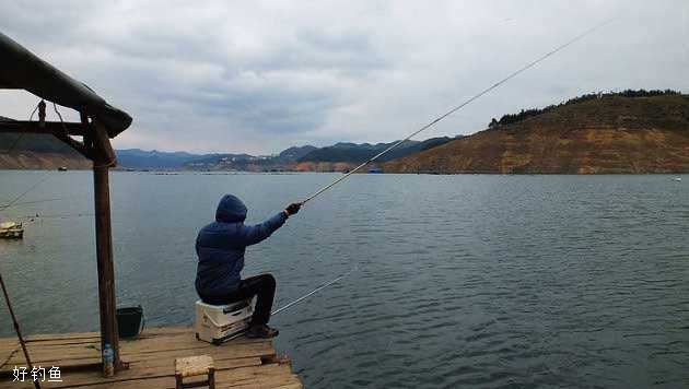 上鱼要抓住提竿时机，什么时候提竿合适？