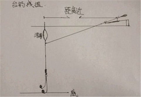 钓组要怎么搭配？野钓、黑坑、竞技都齐了