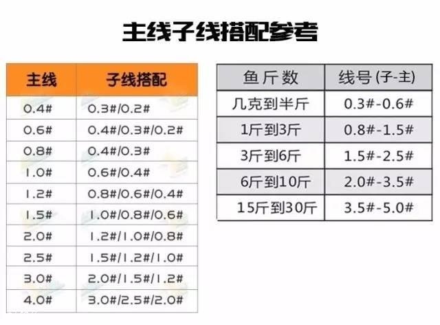 手竿、海竿、矶钓竿图解线组搭配