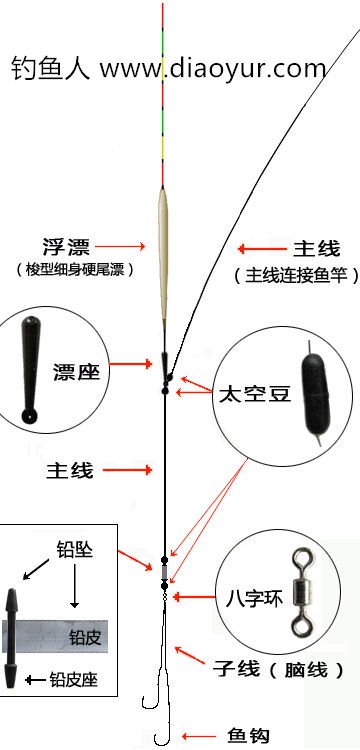 矶钓竿的使用方法详解，入门必看