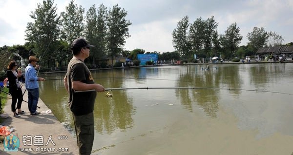 鱼儿拒食的原因与应对办法