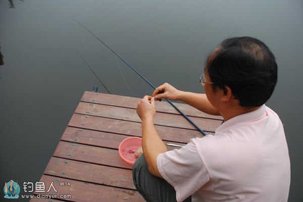 鱼儿拒食的原因与应对办法