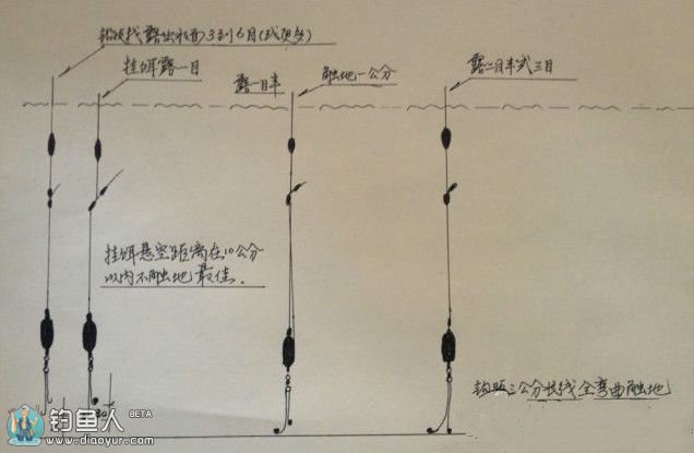 调钓挂饵调法的五个基本要领