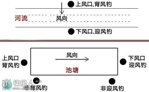 刮风的时候在上风口还是在下风口钓鱼好