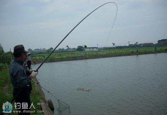 钓鱼过程中的“拔河”现象