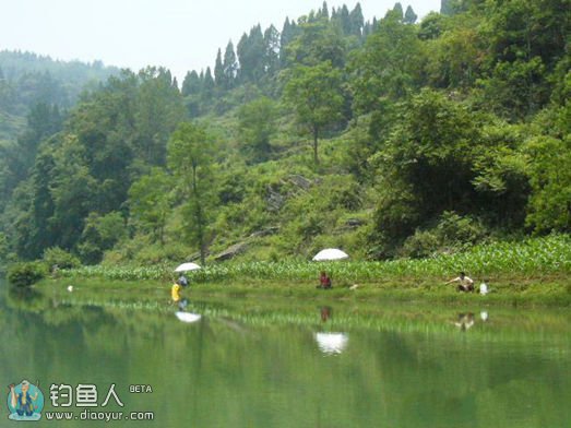 休闲野钓打窝的五个技巧