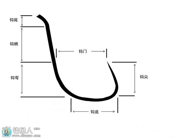 鱼钩的种类和不同鱼种垂钓的选钩技巧