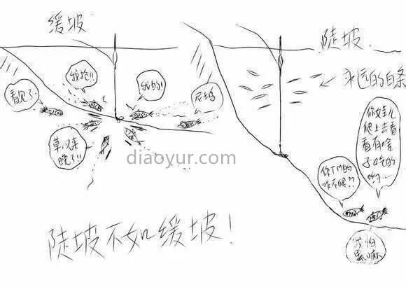 钓鱼高手手绘图：不同环境的钓鱼技巧