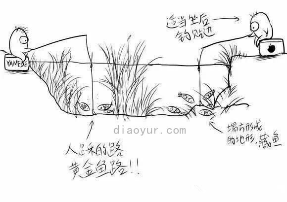 钓鱼高手手绘图：不同环境的钓鱼技巧