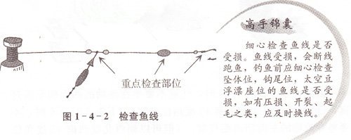 钓鱼新手不可忽视的七个细节问题 [图文]