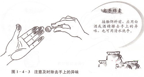 钓鱼新手不可忽视的七个细节问题 [图文]