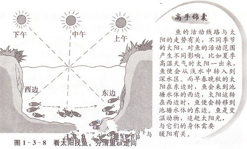 垂钓一些找鱼的技巧分析大全 [图文精华]