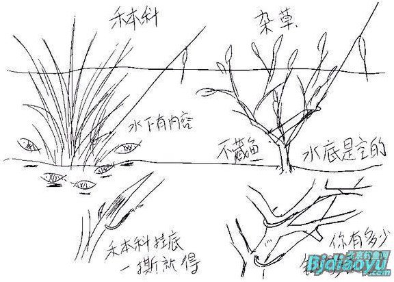 适合钓鱼新手的野钓必须课[图文详解]