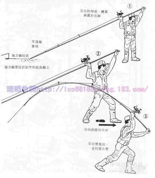 新手钓鱼必备知识大全【图文详解】