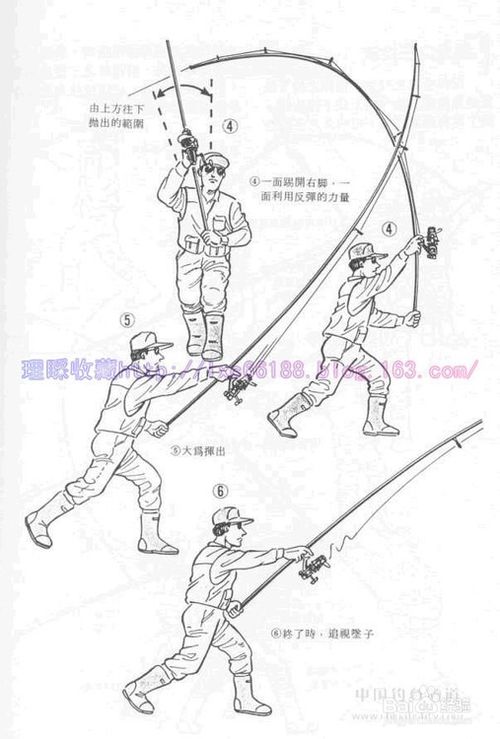 新手钓鱼必备知识大全【图文详解】