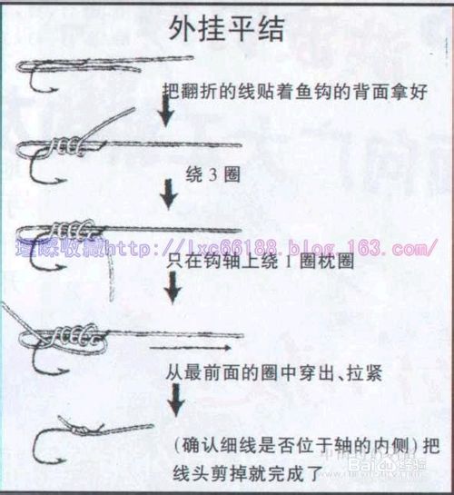 新手钓鱼必备知识大全【图文详解】