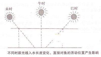 钓鱼最佳时间，什么时间钓鱼最好？