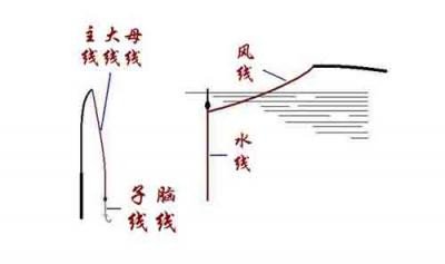 新手学钓鱼9_找底 风线 搬家 打窝器