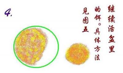 新手学钓鱼6_遛鱼 握竿 和饵