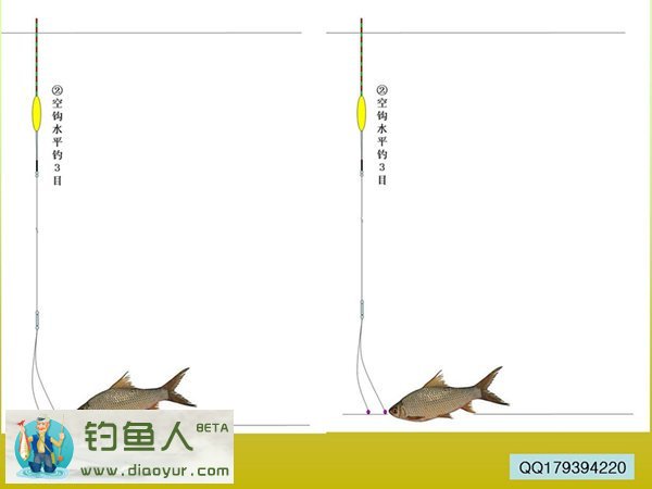 水库垂钓土鲮鱼的技巧和方法分享