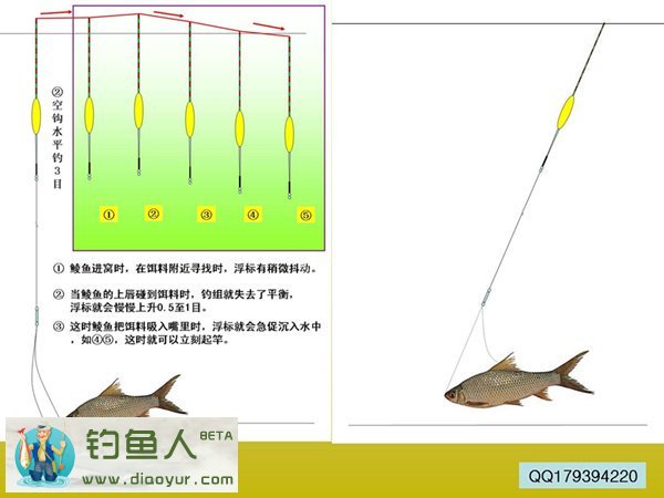 水库垂钓土鲮鱼的技巧和方法分享