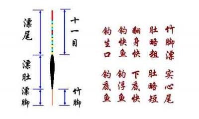 新手学钓鱼8_浮漂 验证调漂