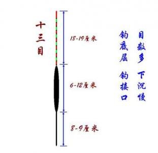 新手学钓鱼8_浮漂 验证调漂