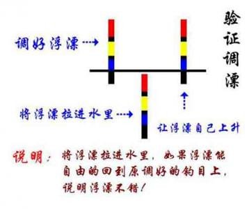 新手学钓鱼8_浮漂 验证调漂