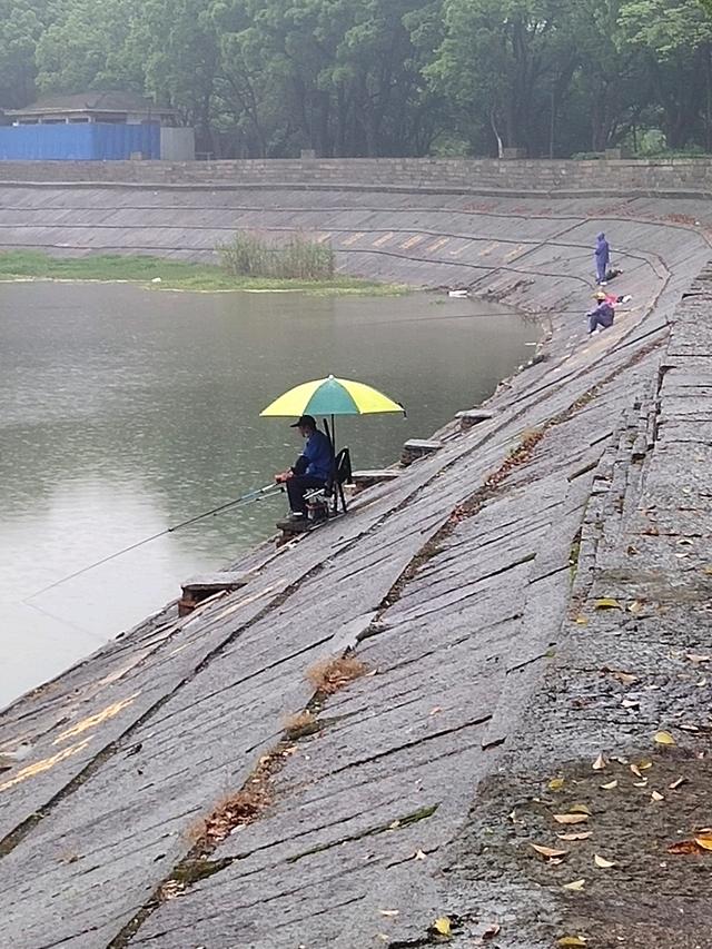 老钓鱼人发现冬天只要把握一点，霜降冰冻都可以钓鱼