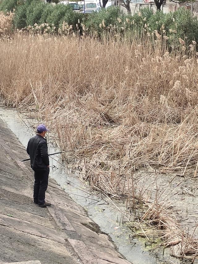 老钓鱼解析冬天钓鱼为什么走钓要强于守钓，上鱼才是最重要的