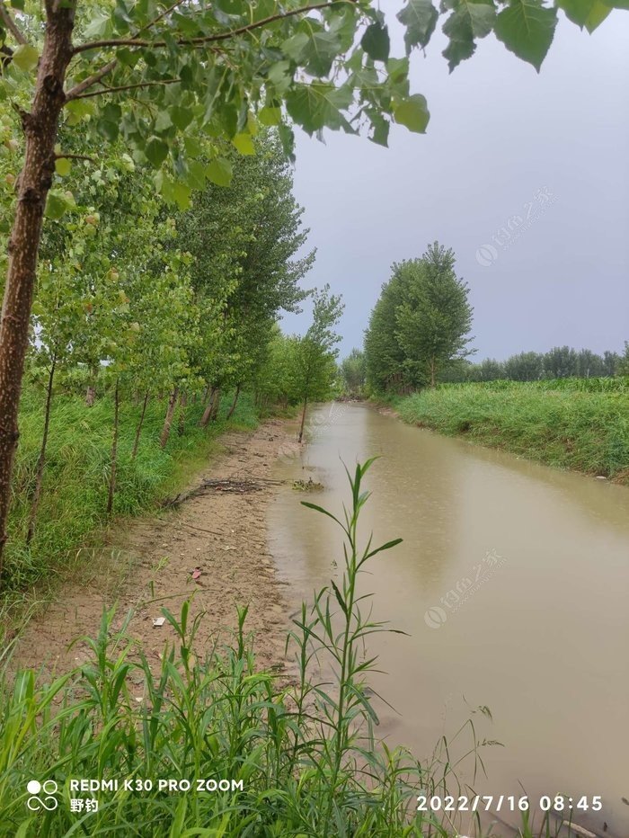 雨天野钓实战经验教训