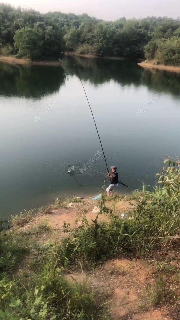 浅谈钓鲢鳙打窝心得，这样打窝效果会更好