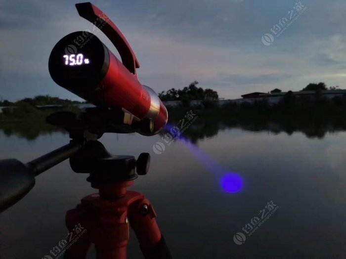 夏季夜钓比白天强，牢记“三要素”鱼获有保证。