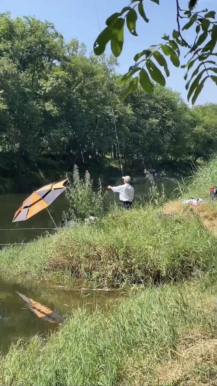 浅谈针对钓鲢鱼和钓鳙鱼的饵料味型的选择？选对天天吃剁椒鱼头。