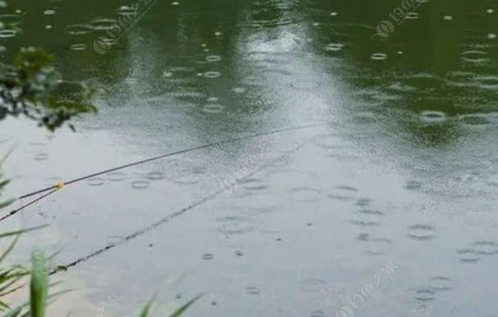 夏季野钓河流掌握好以下三点 助你鱼获满满！