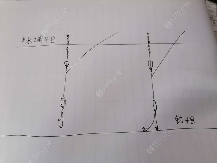 垂钓中无漂相提竿也中鱼，原因在都在这里