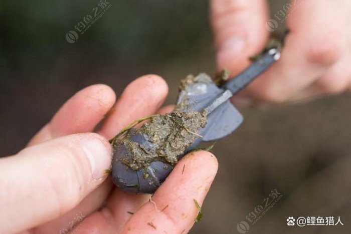 欧鲤钓★春季大鲤鱼的天然饵料