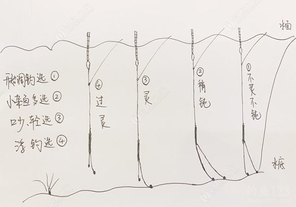 野钓“鲫鱼鲤鱼调漂”实用版