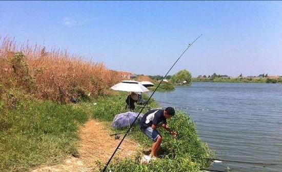 入秋之后，就选这几个地方下杆，大鲤大草都没跑